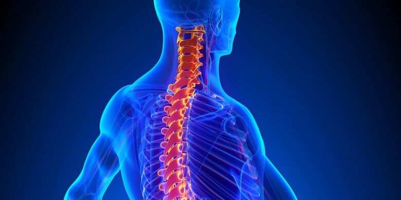 A nyaki osteochondrosis a gerinc egyik legveszélyesebb betegsége